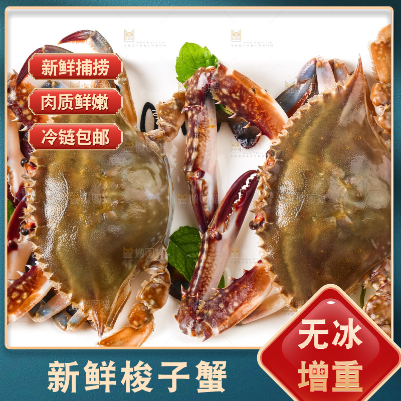 白底上摆放着海蟹