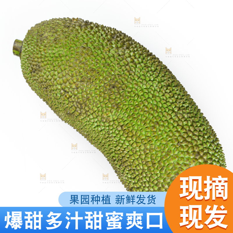 白底上放着一个完整的菠萝蜜