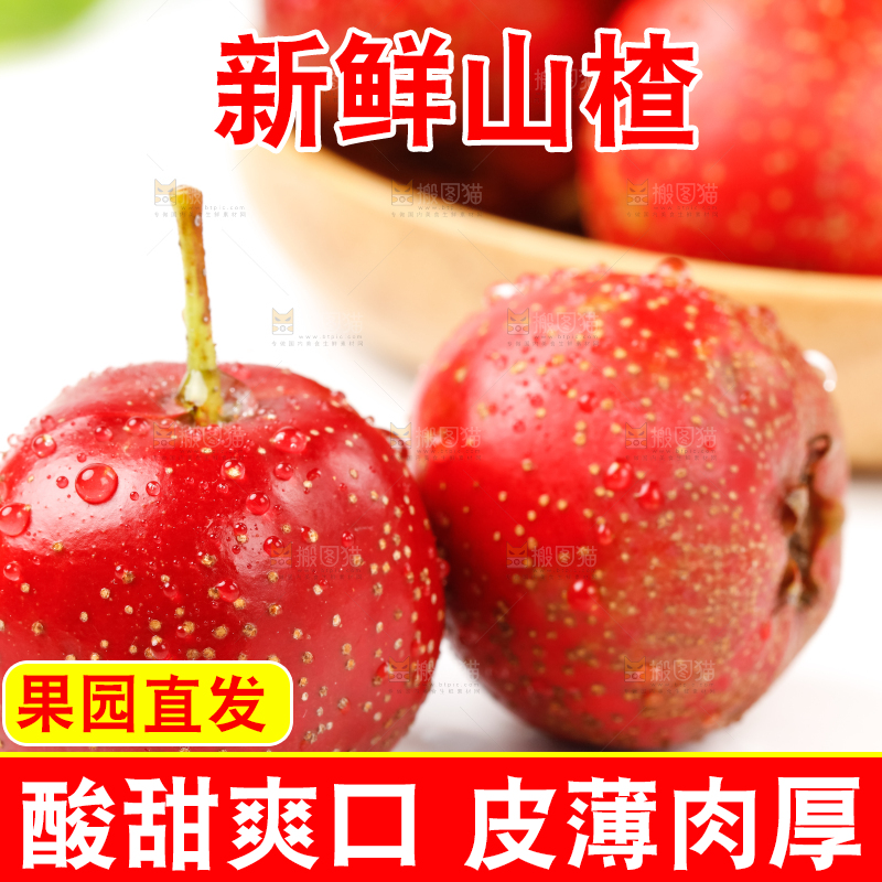 白底上的山里红