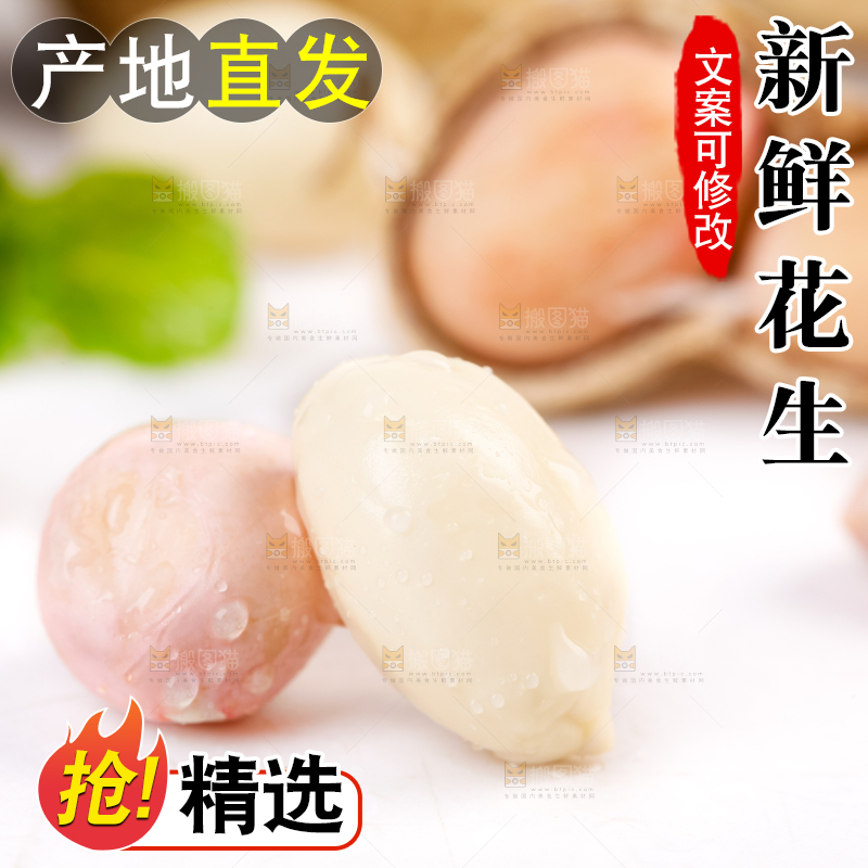 白底上放着一堆新鲜带壳花生