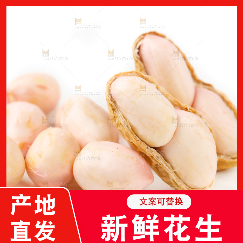 白底上的湿花生和花生米