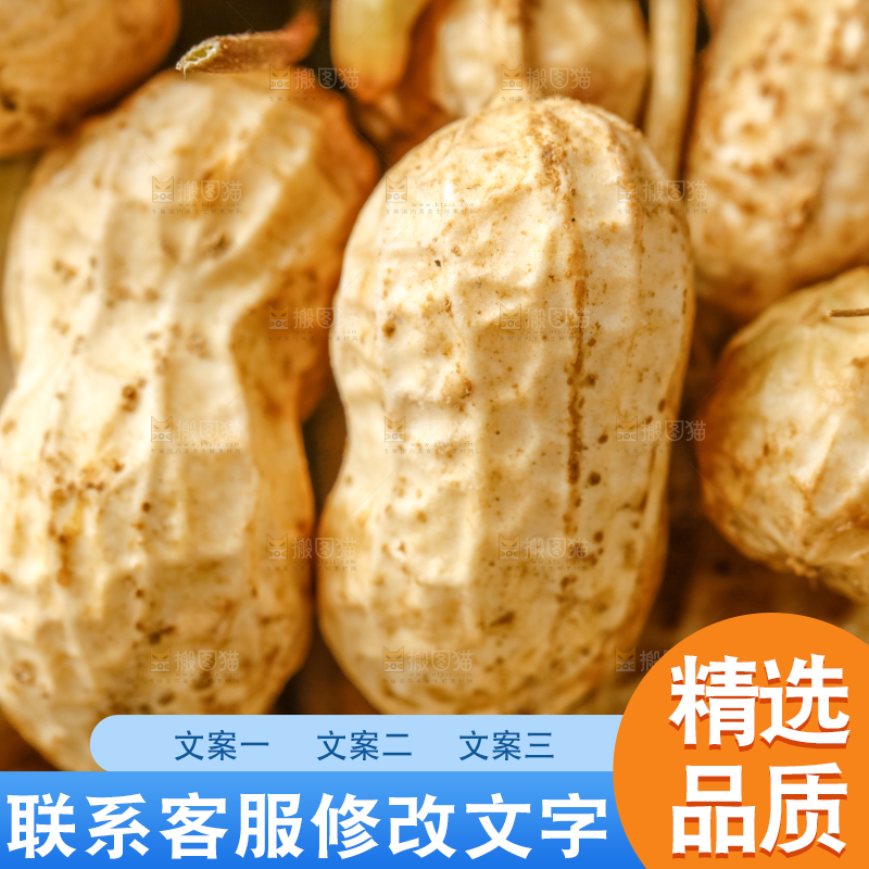 白底上放着一堆湿花生