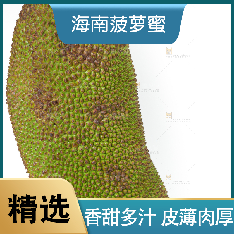 白底上放着一个完整的菠萝蜜