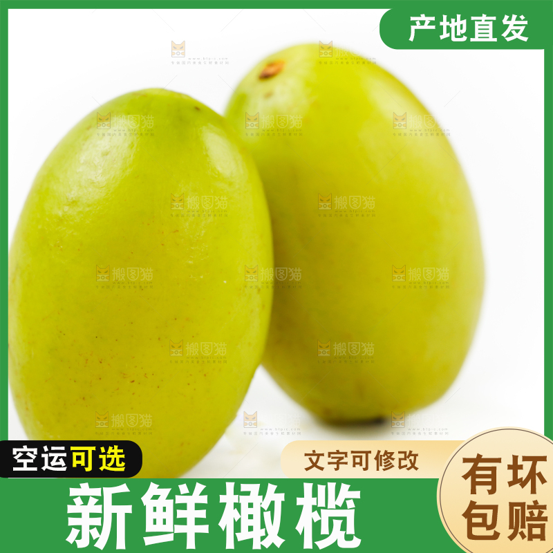 白底上的橄榄果