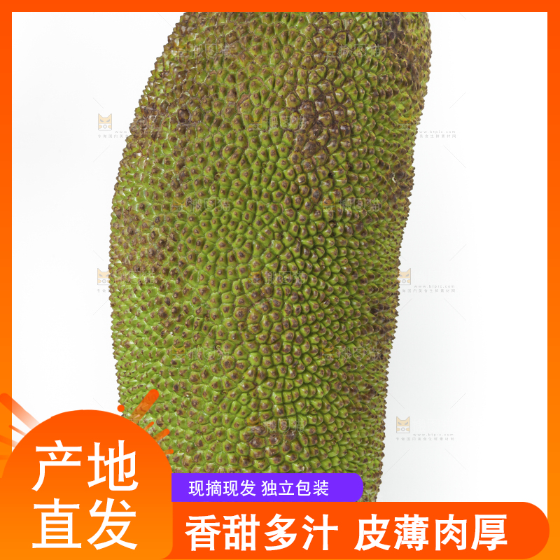 白底上放着一个完整的菠萝蜜