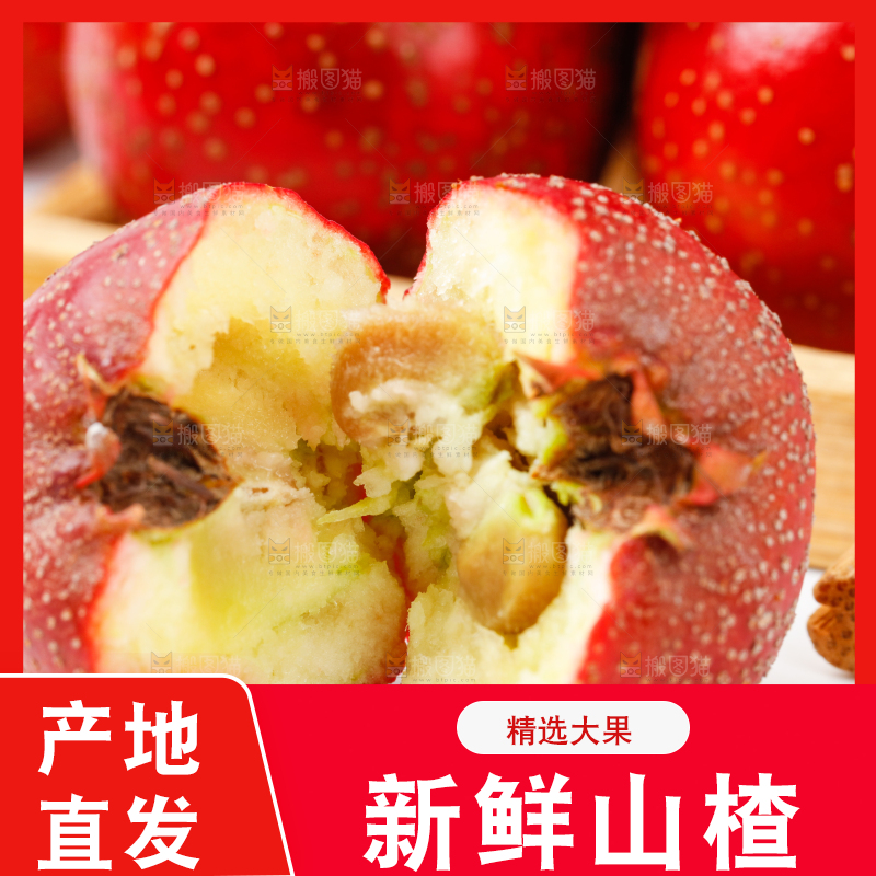 白底上的山楂果