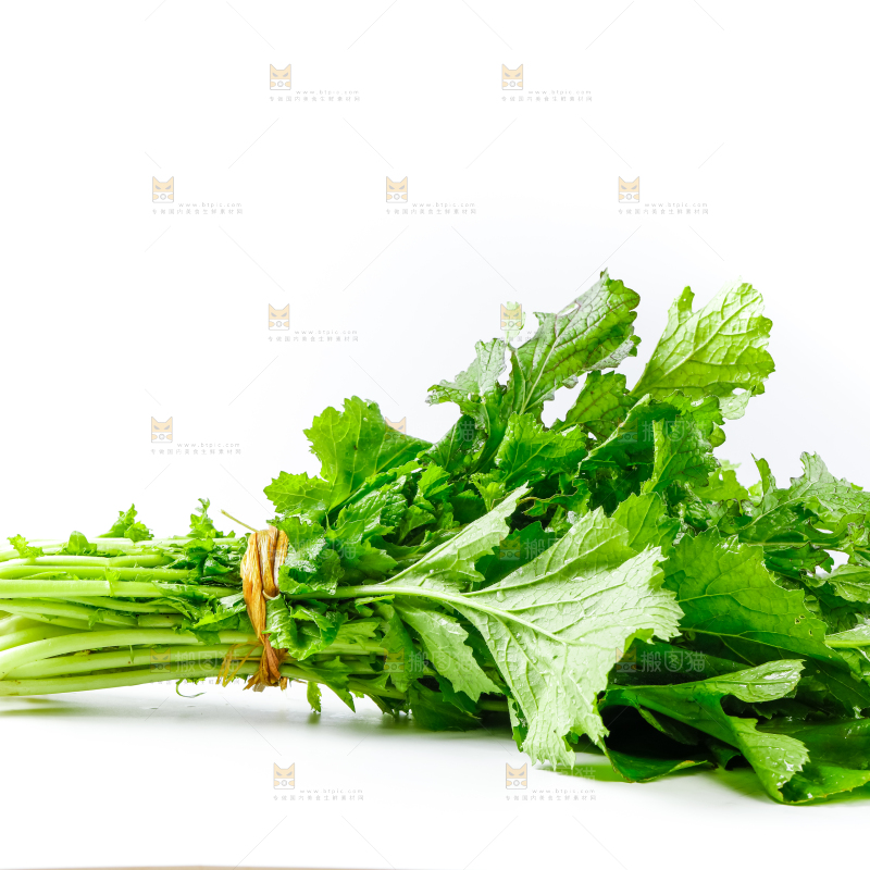 白底上的腊菜