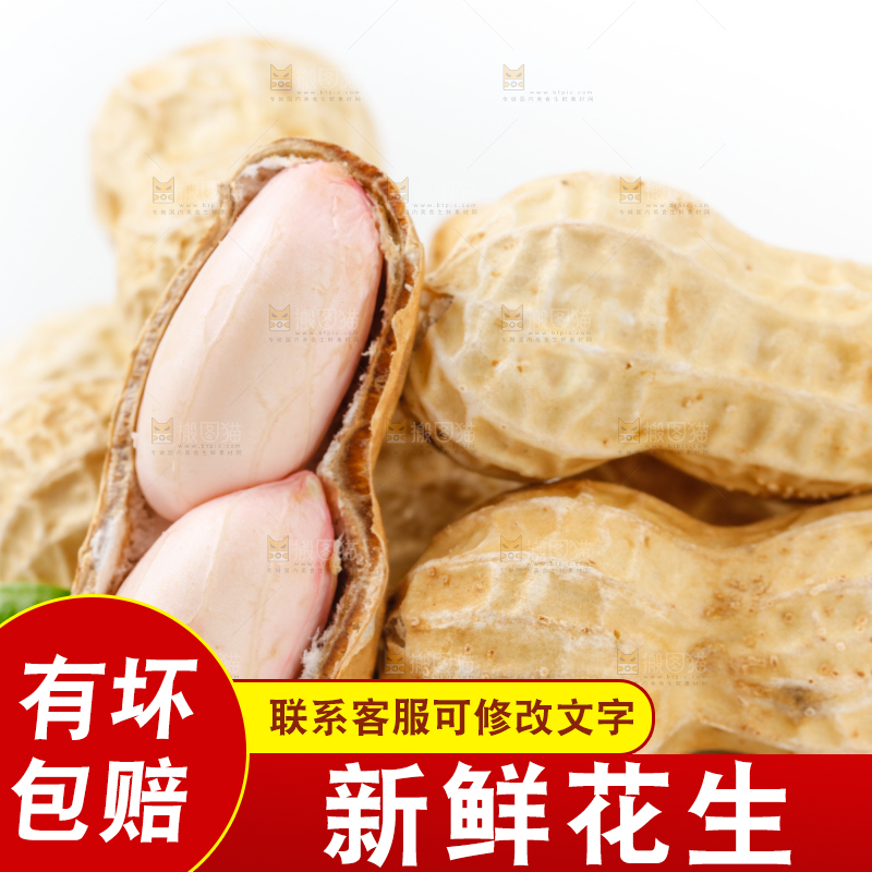 白底上的新鲜带壳花生