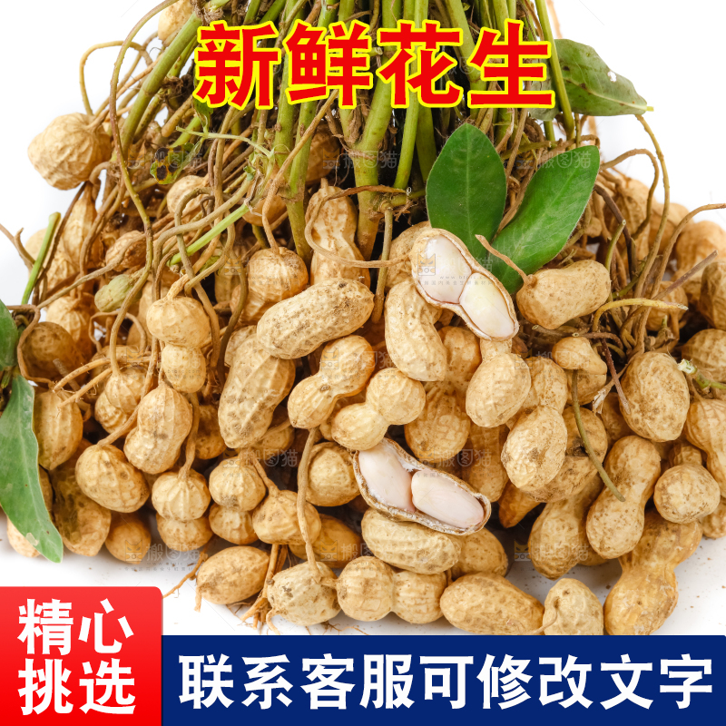 白底上放着一堆花生