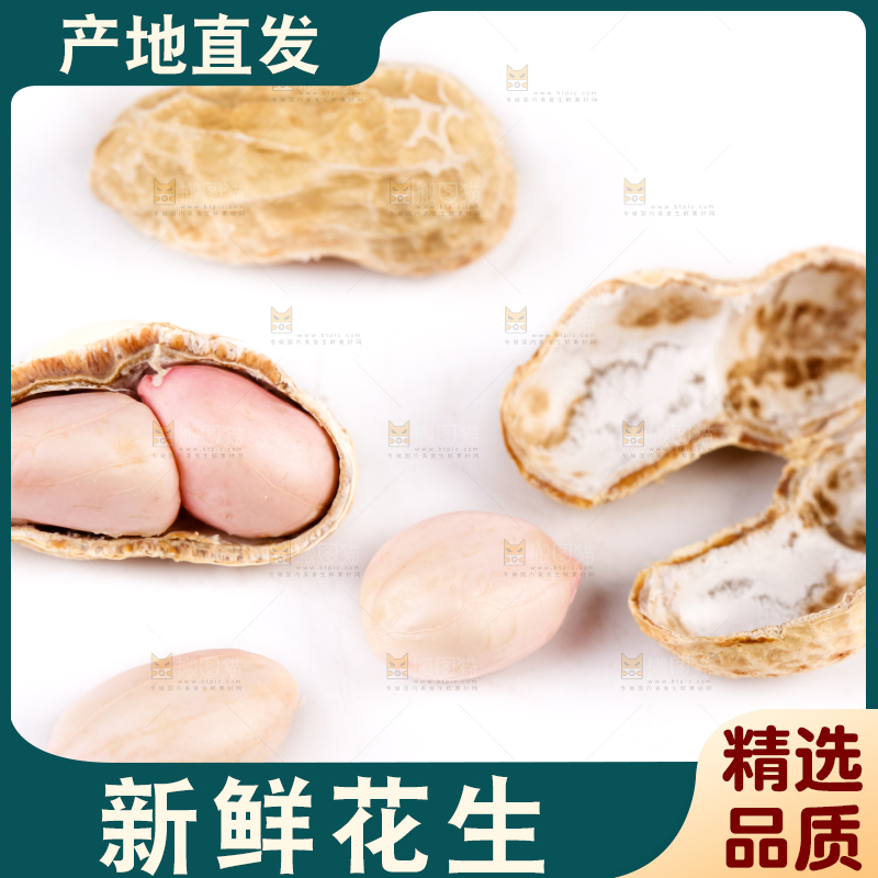白底上的湿花生