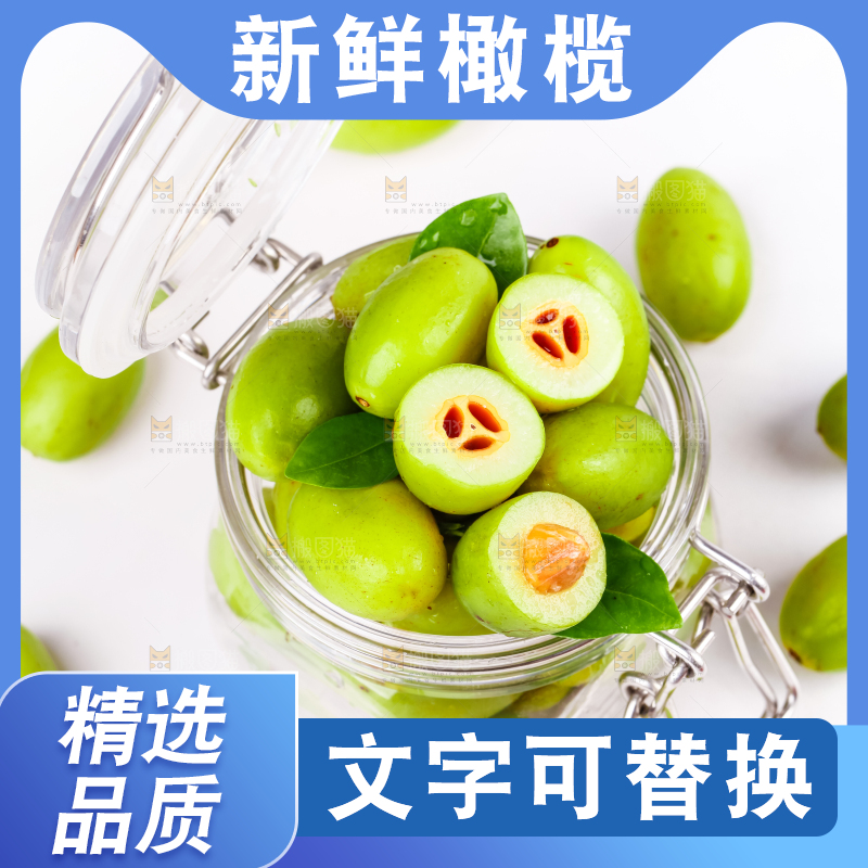 瓶子里的九制橄榄