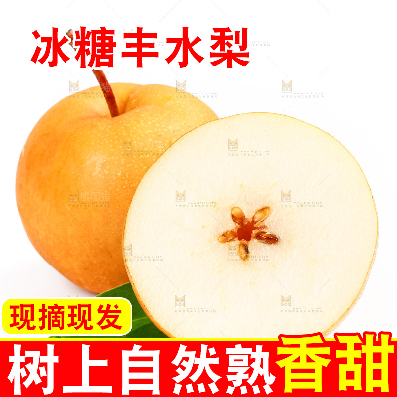 白底上摆放着山东丰水梨