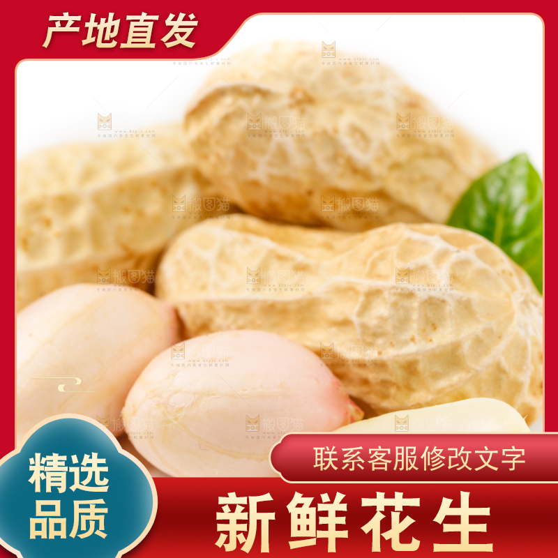 白底上的湿花生和花生米