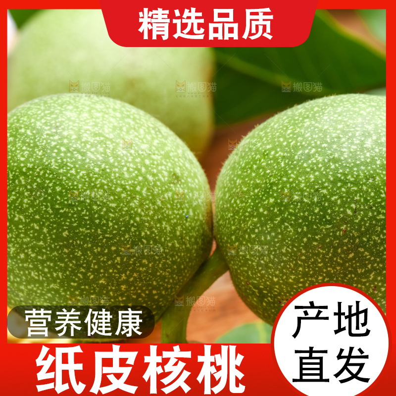 木底上摆放着青核桃