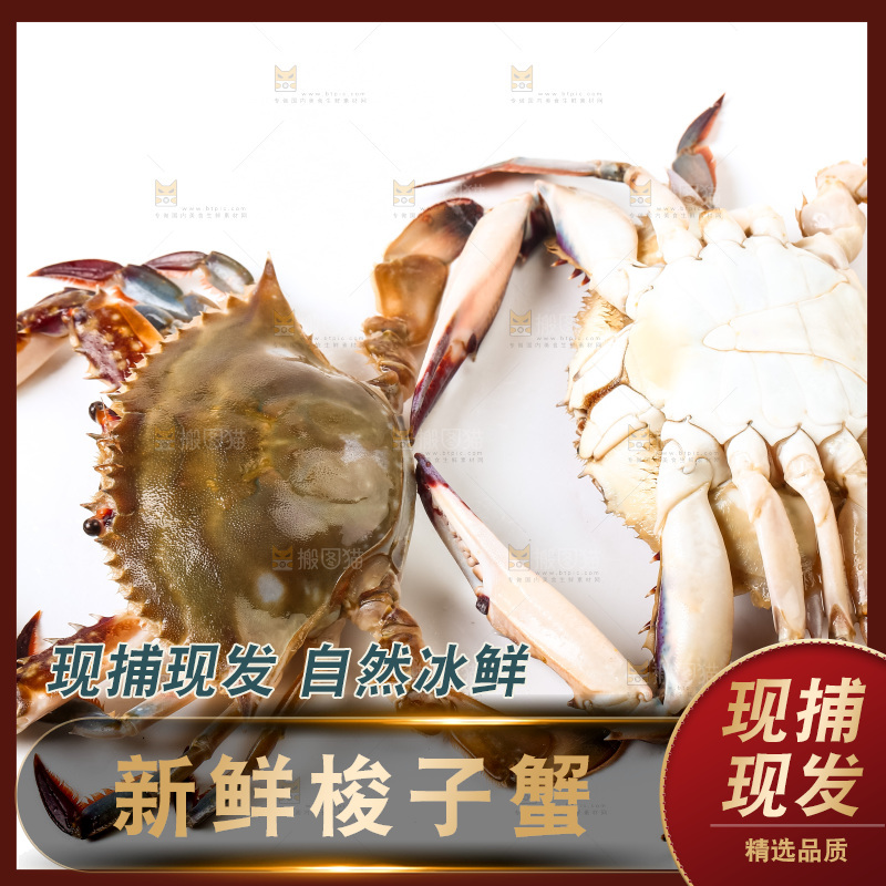 白底上摆放着海蟹