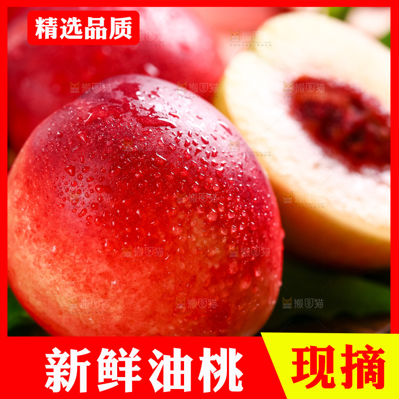 深底上摆放着澳州进口油桃