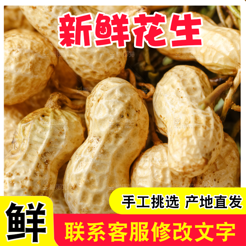 白底上的新鲜花生