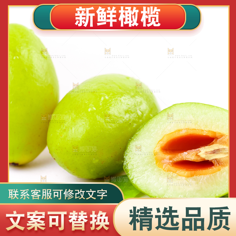 白底上的橄榄果