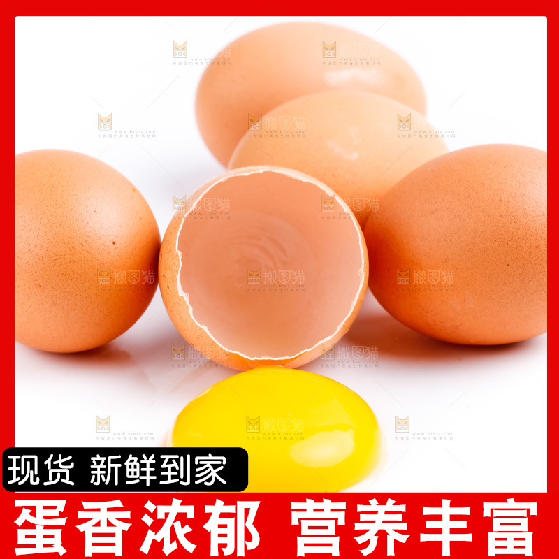 新鲜土鸡蛋放在白底上