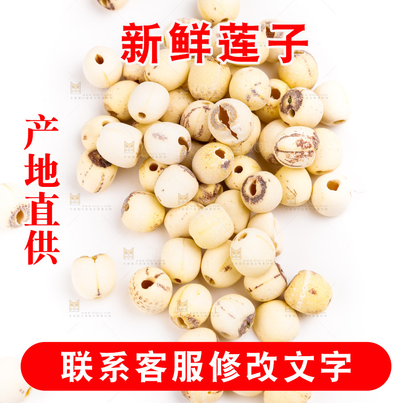 白底上的莲子