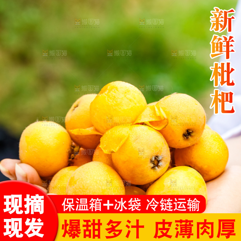 手里捧着枇杷