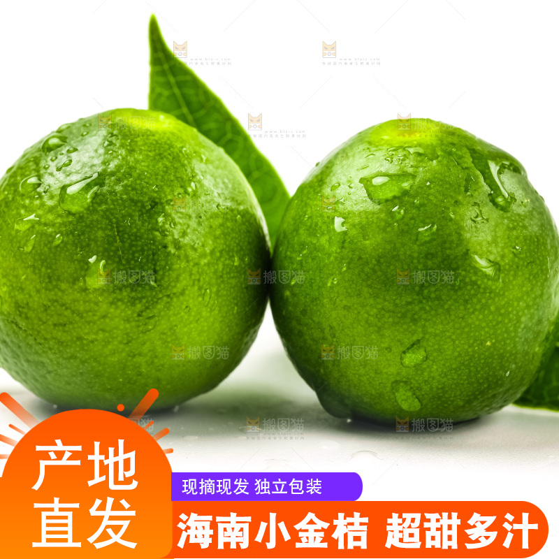 白底上放着小金桔
