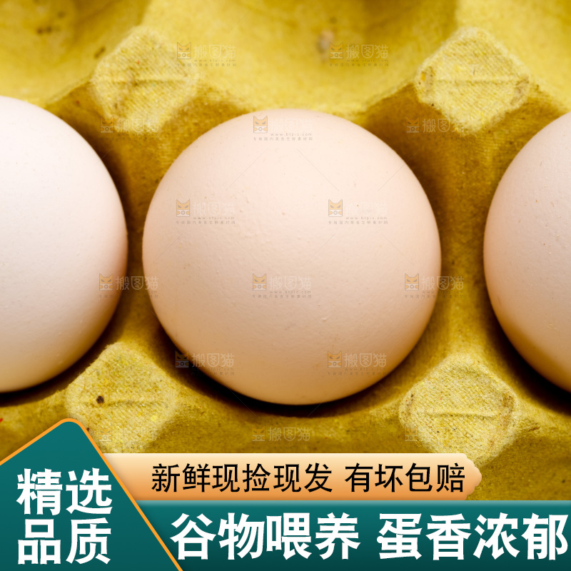 新鲜土鸡蛋放在白底上