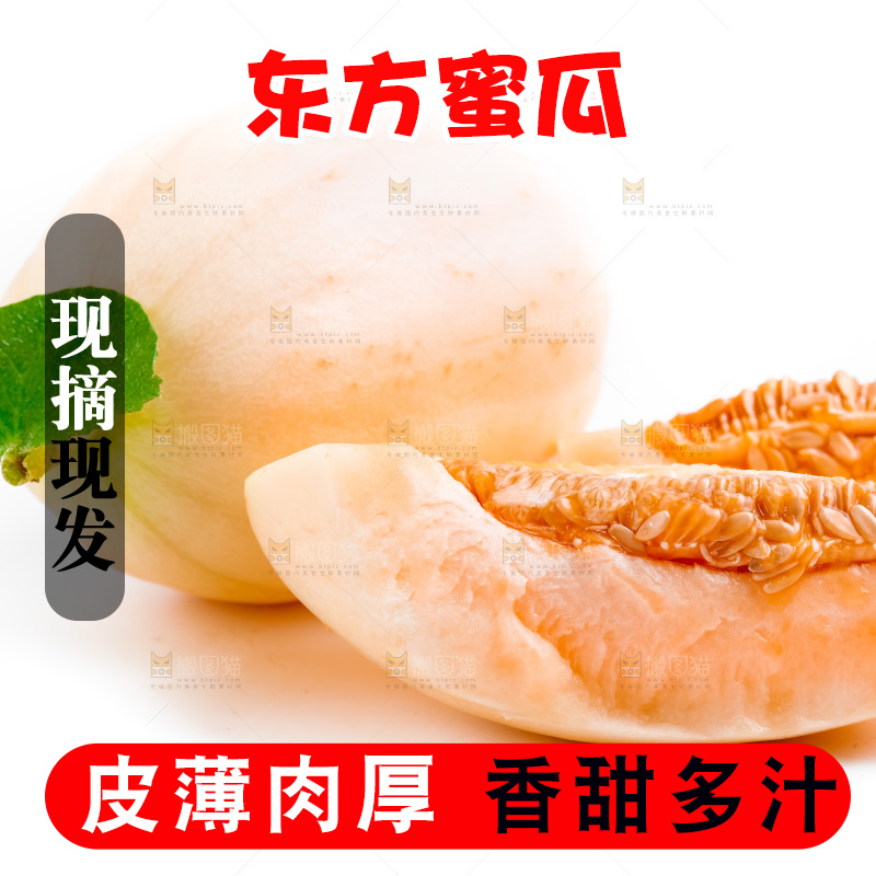 山东东方蜜瓜放在白底上