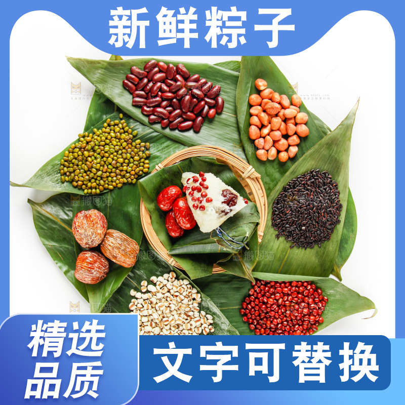 粽子和粽子食材放在白底上