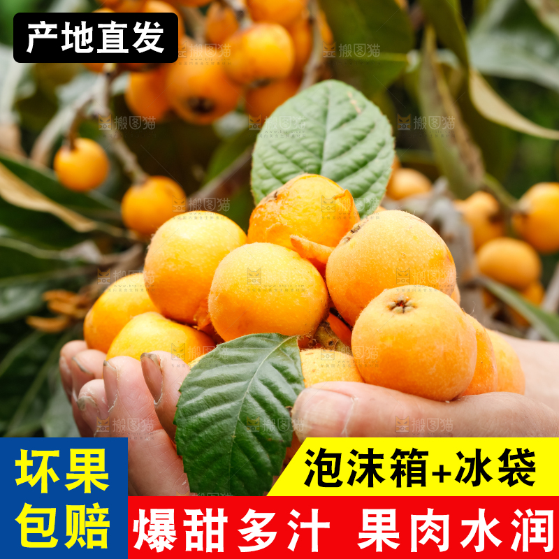 手里捧着新鲜枇杷