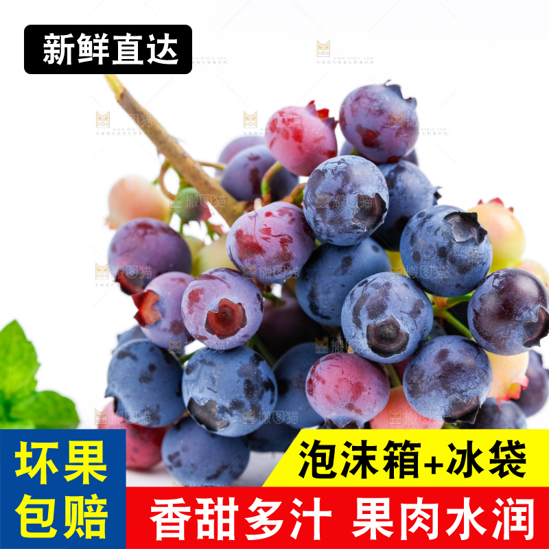 白底上摆放着蓝莓