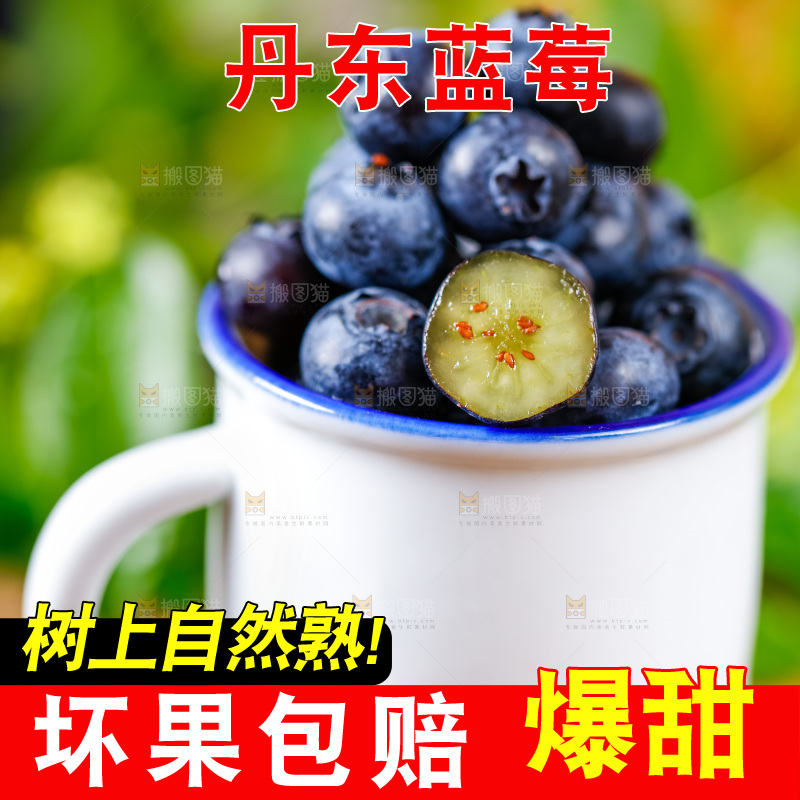 杯子里装着蓝莓果