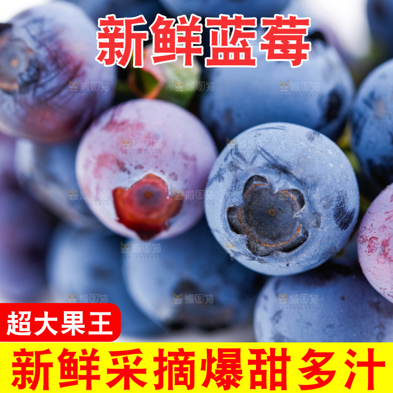 白底上摆放着蓝莓