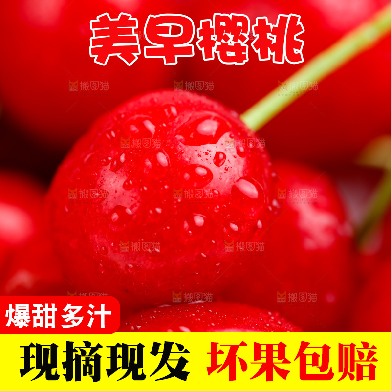 白底上的烟台樱桃