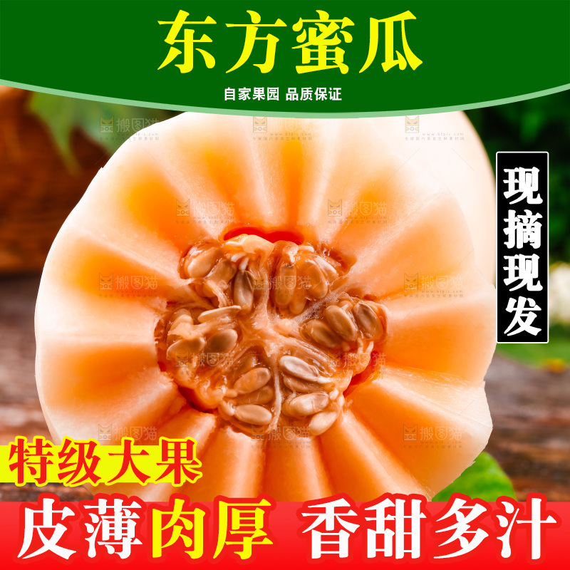 山东东方蜜瓜放在木底上