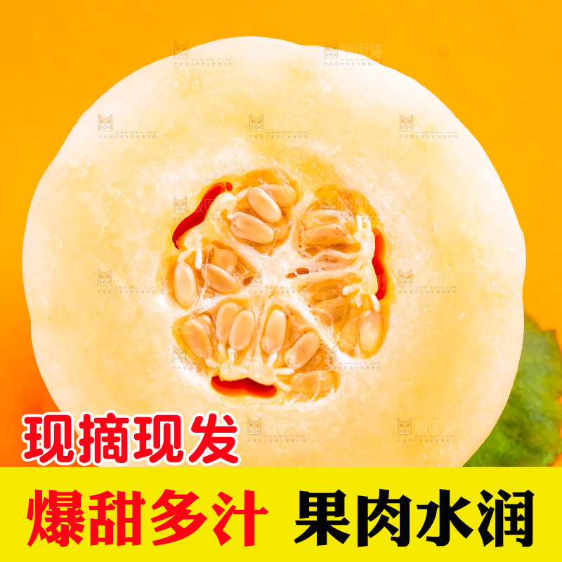 浅底上放着山东东方蜜瓜