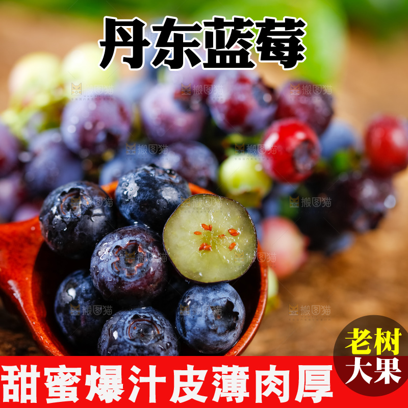 勺子上放着蓝莓鲜果