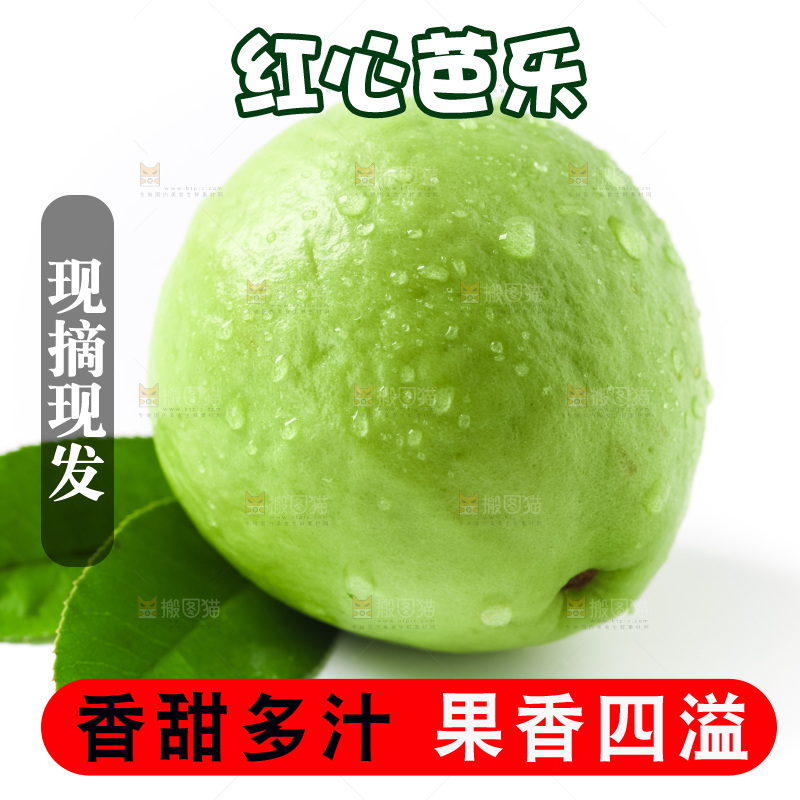 白底上放着芭乐果