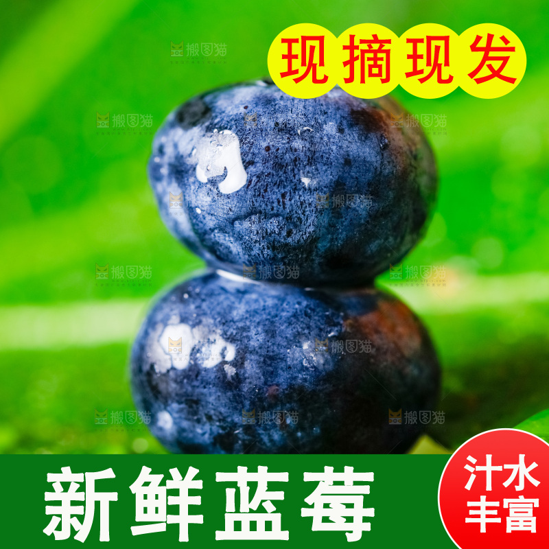 绿叶上摆放着蓝莓果