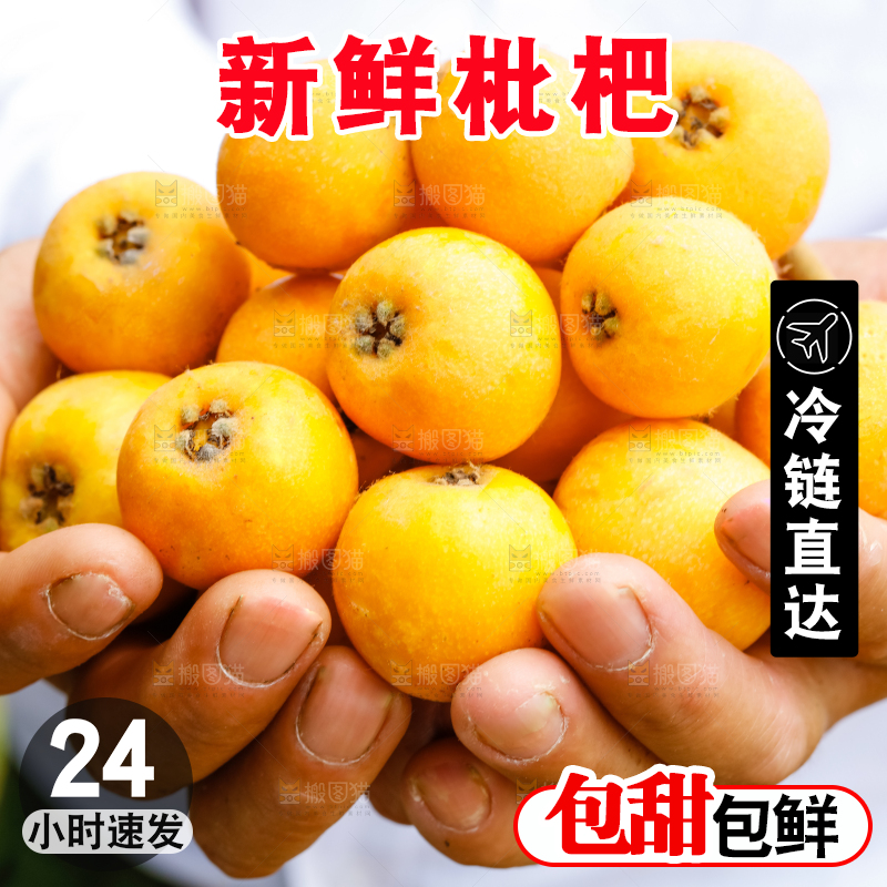 手里捧着枇杷
