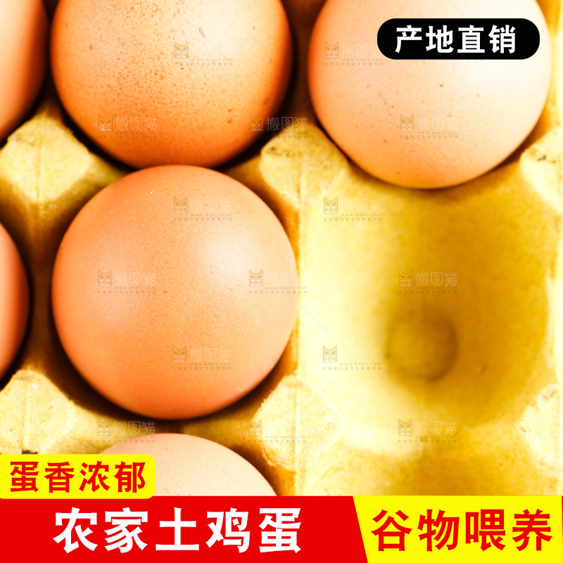 木底上放着新鲜鸡蛋