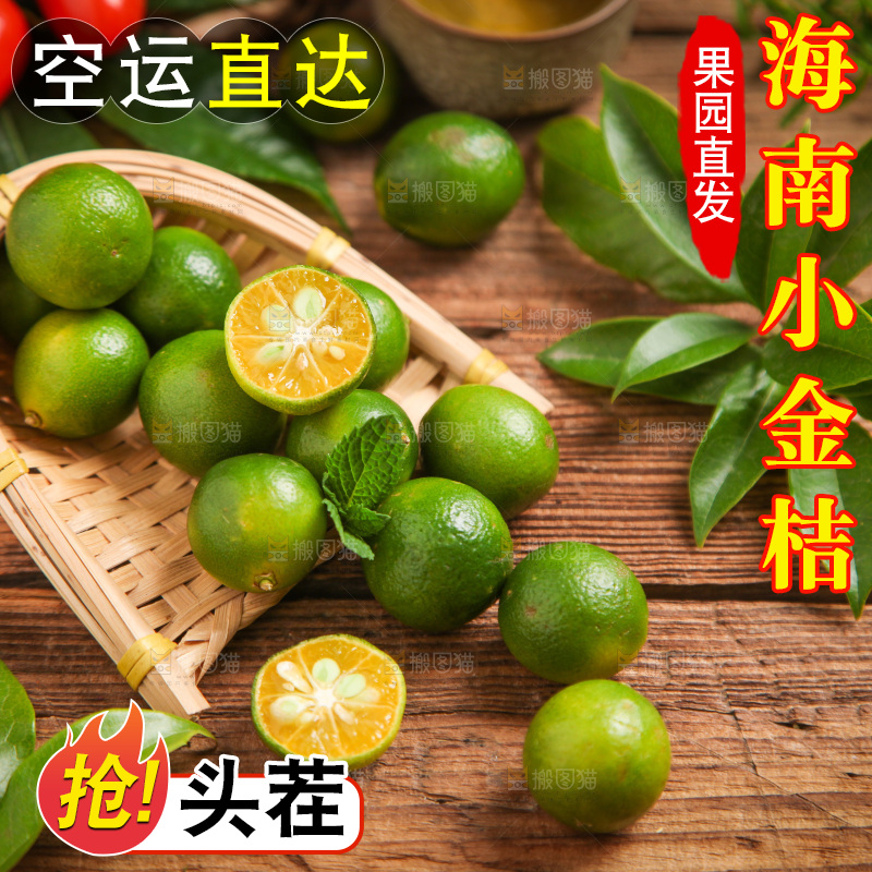 篮子里装着小金桔