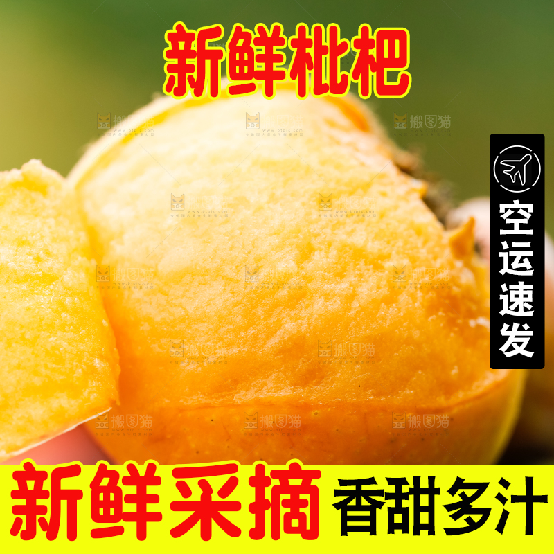 手里拿着枇杷果