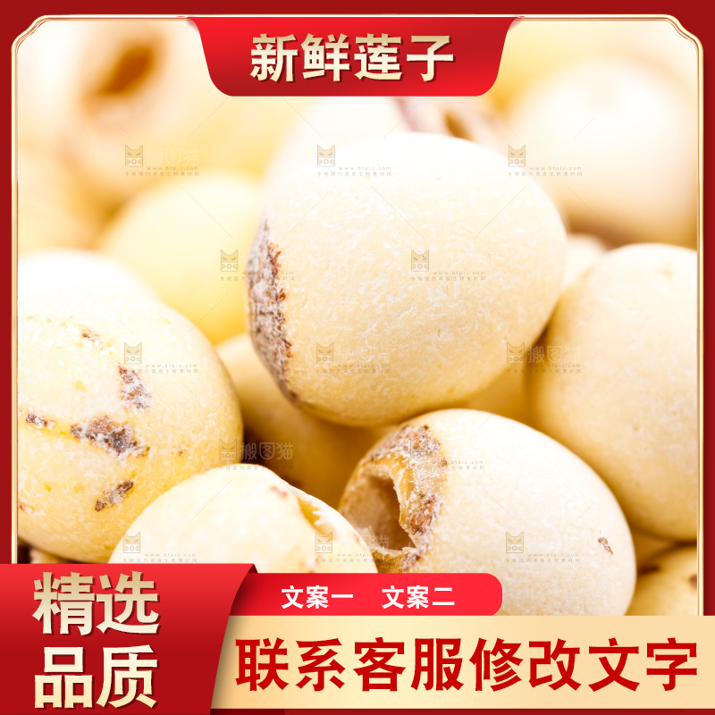 白底上的莲子