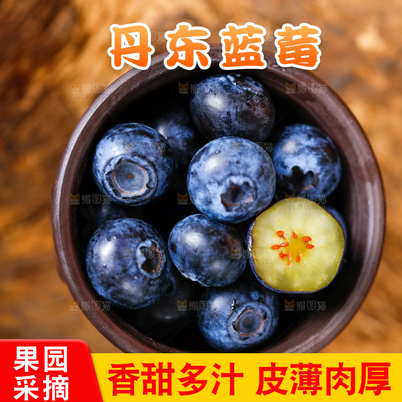 碟子里装着蓝莓