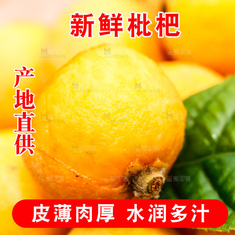 手里捧着新鲜枇杷