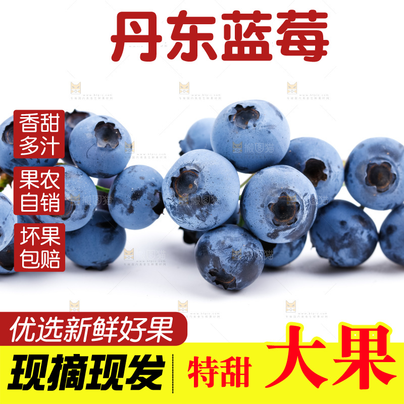 白底上摆放着蓝莓