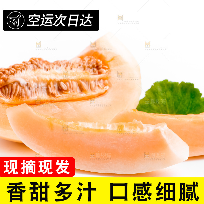 山东东方蜜瓜放在白底上