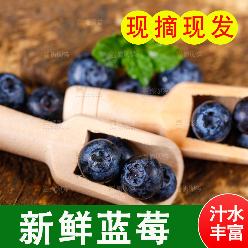 勺子上放着蓝莓鲜果