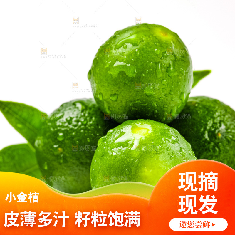 白底上放着小金桔